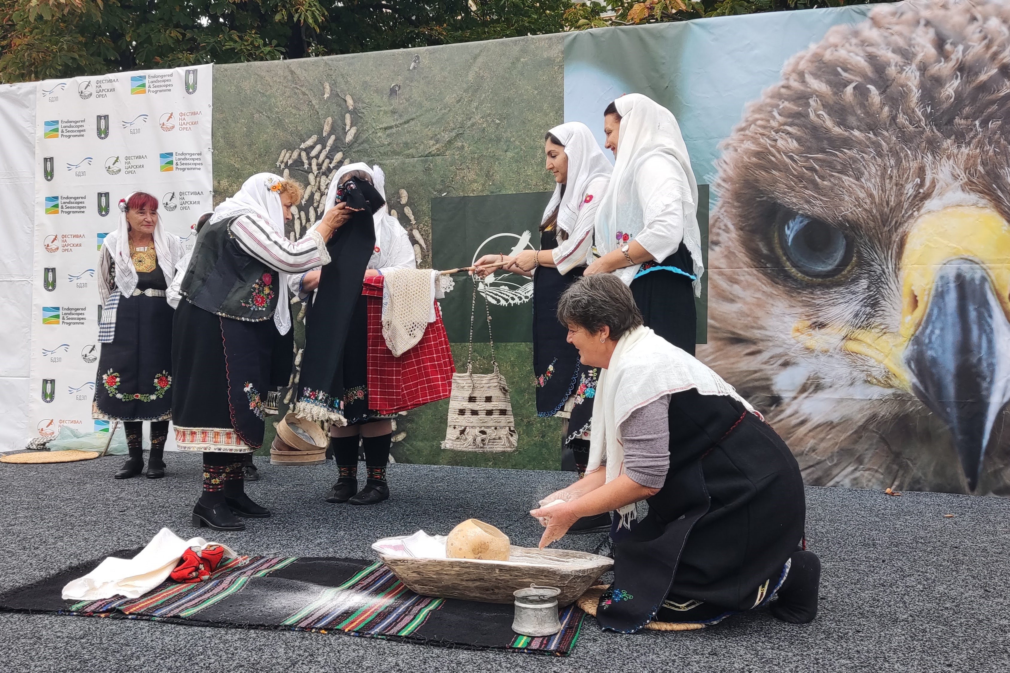 Фестивал на царския орел