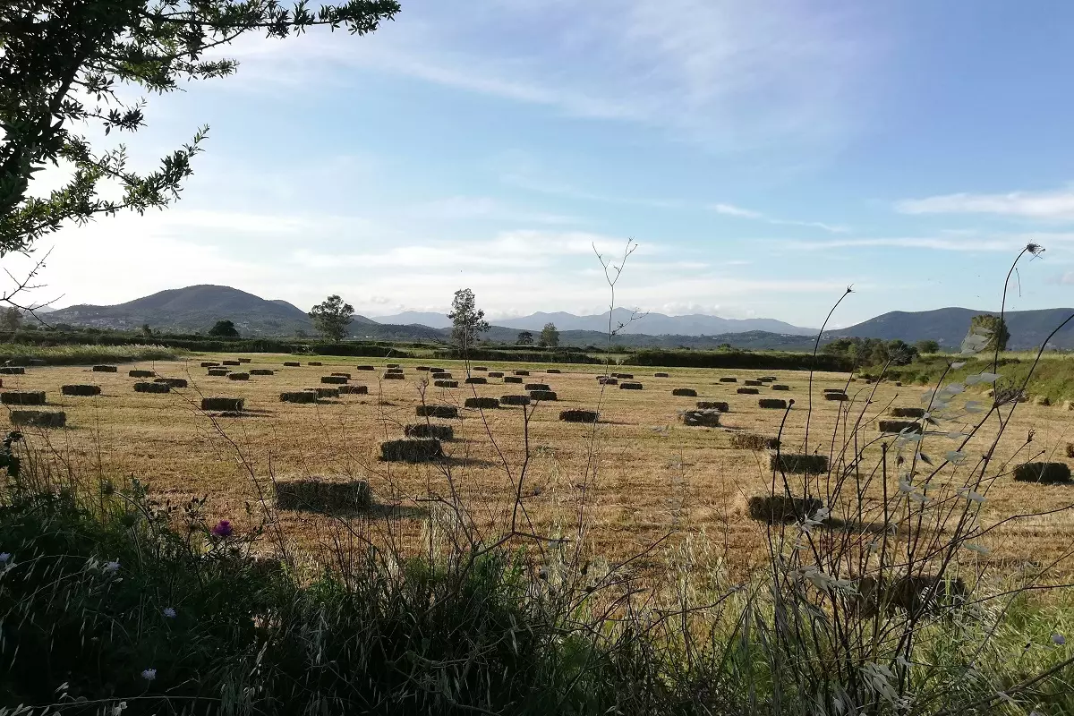 sofia-boutsi-w0twtwY_d0E-unsplash