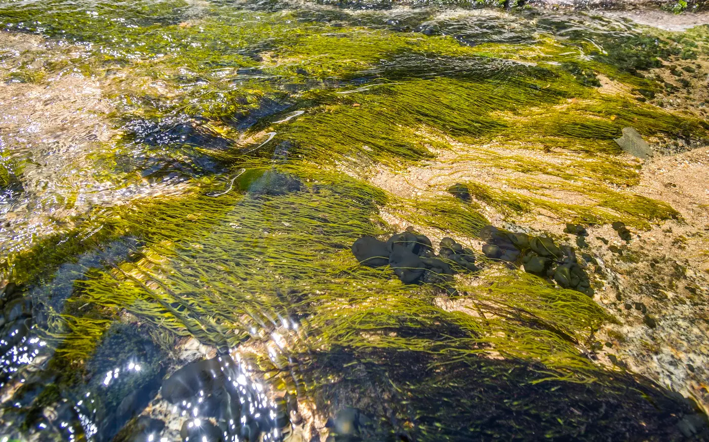 Местност Казанките