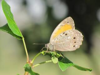 Екопътека Дефилето