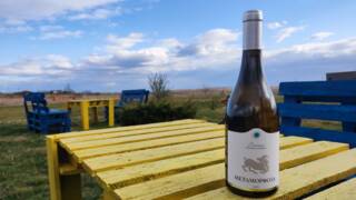 Пролет край лозята, Южен Сакар 4х4