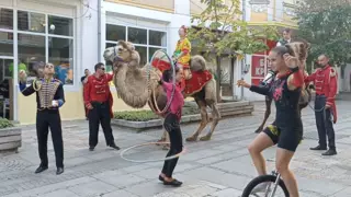 Международен театрален фестивал "Велко Кънев"