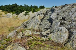 Мочукови камъни 