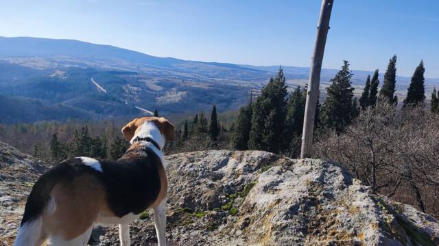 Екопътека Палеокастро 