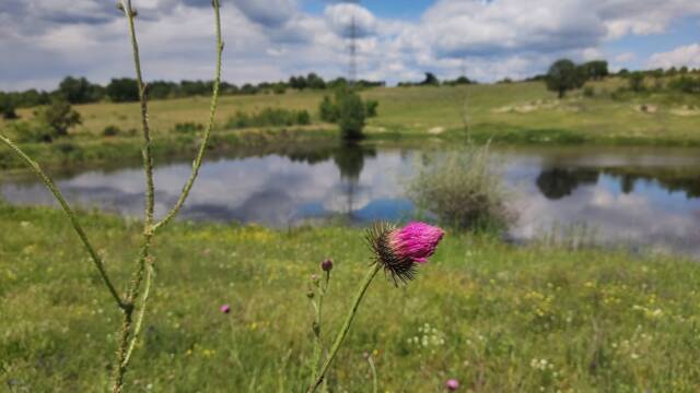 Екопътека Остър камък